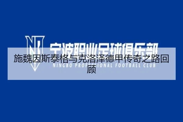 施魏因斯泰格与克洛泽德甲传奇之路回顾
